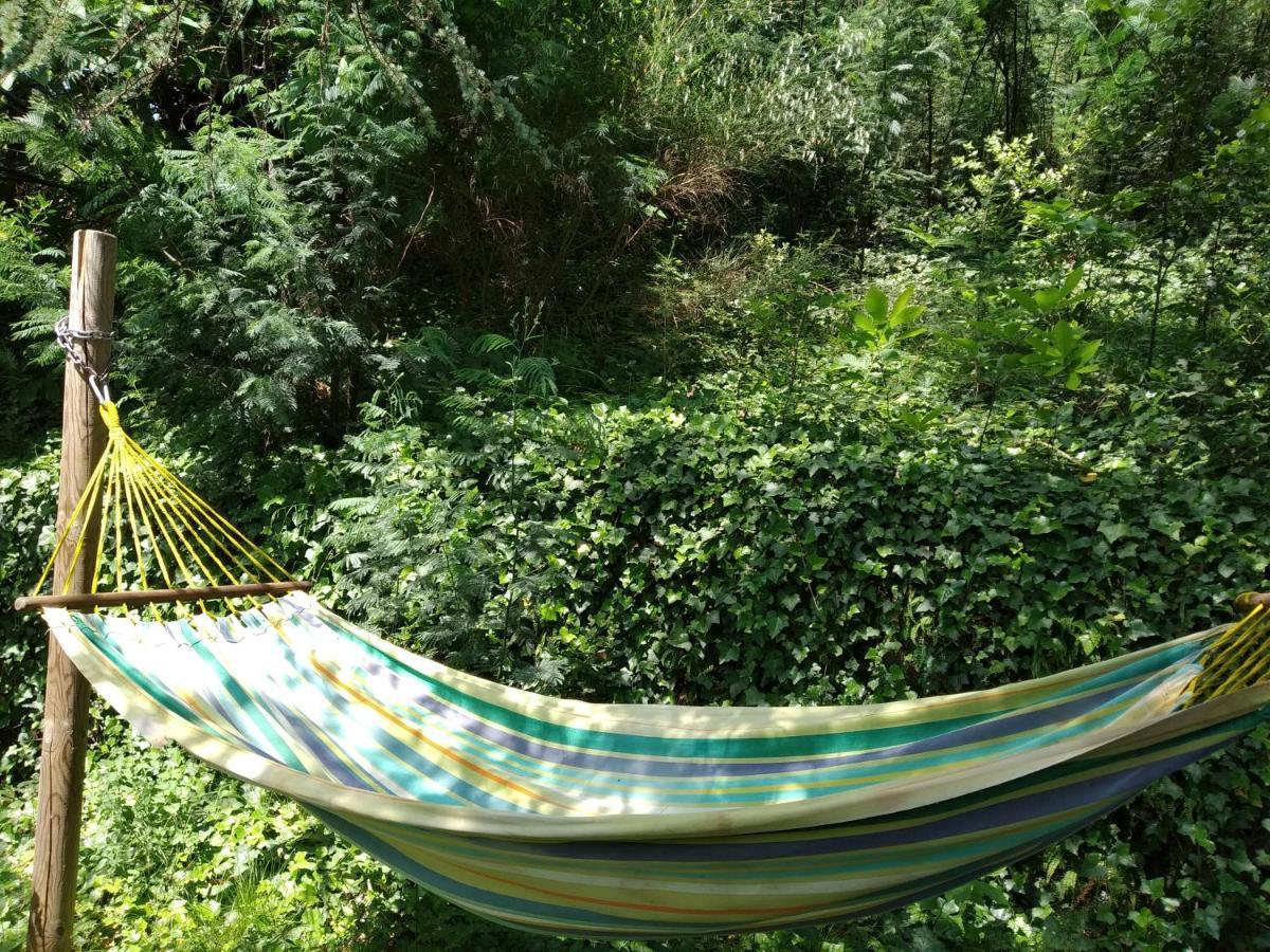 Pura Vida Bed & Breakfast วาลเลอโรก ภายนอก รูปภาพ